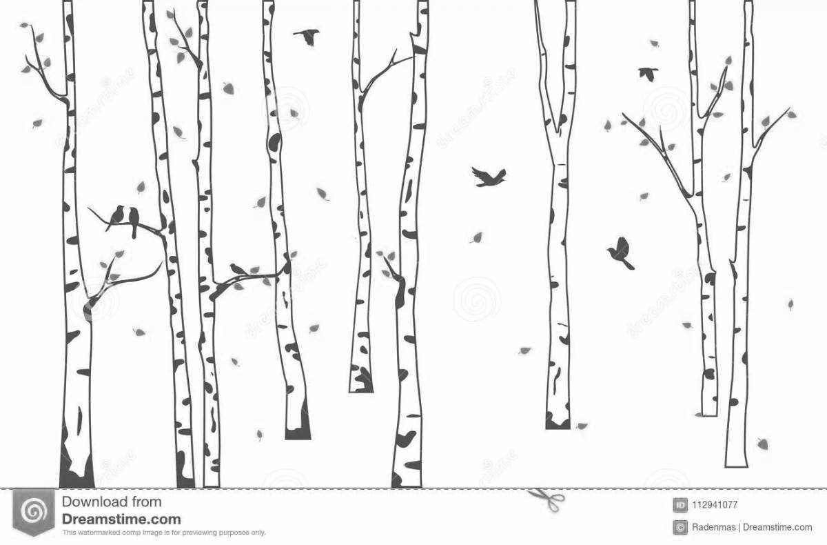 Gorgeous birch grove coloring book for kids