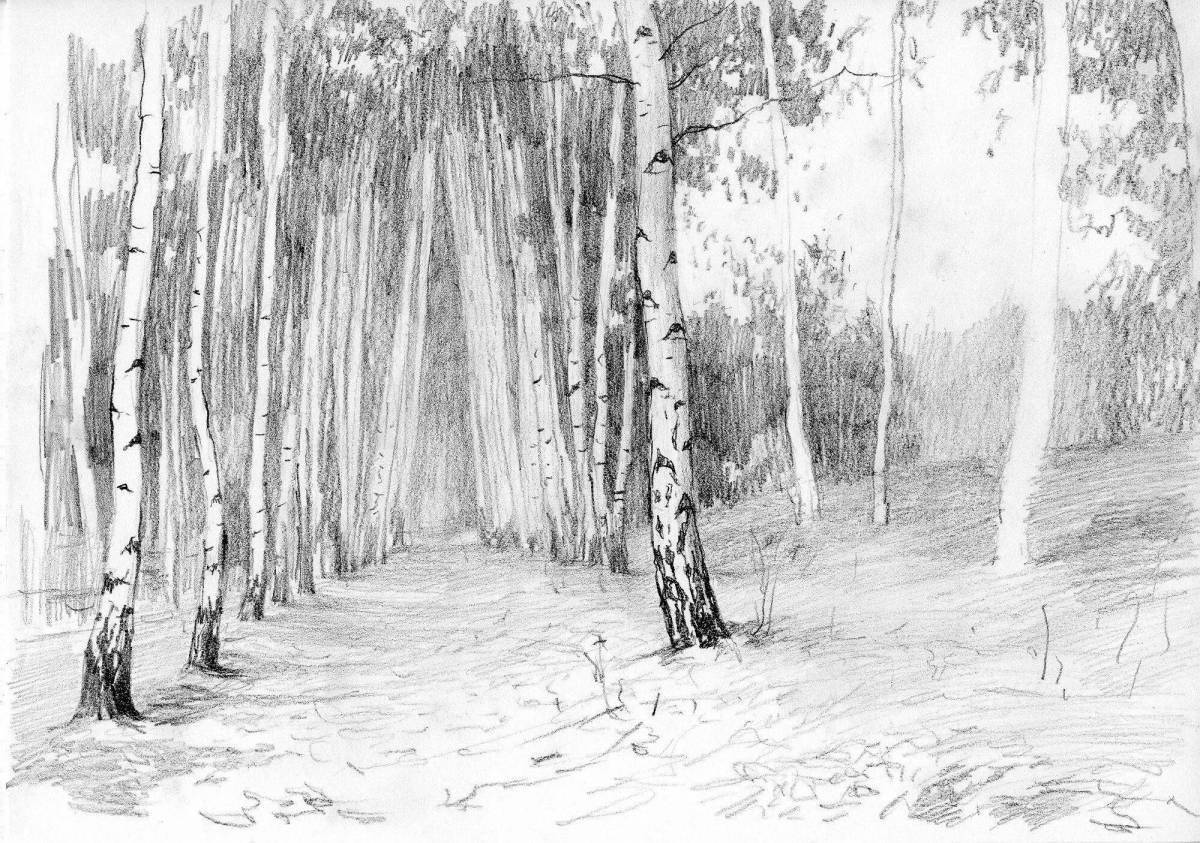 Amazing birch grove coloring pages for kids