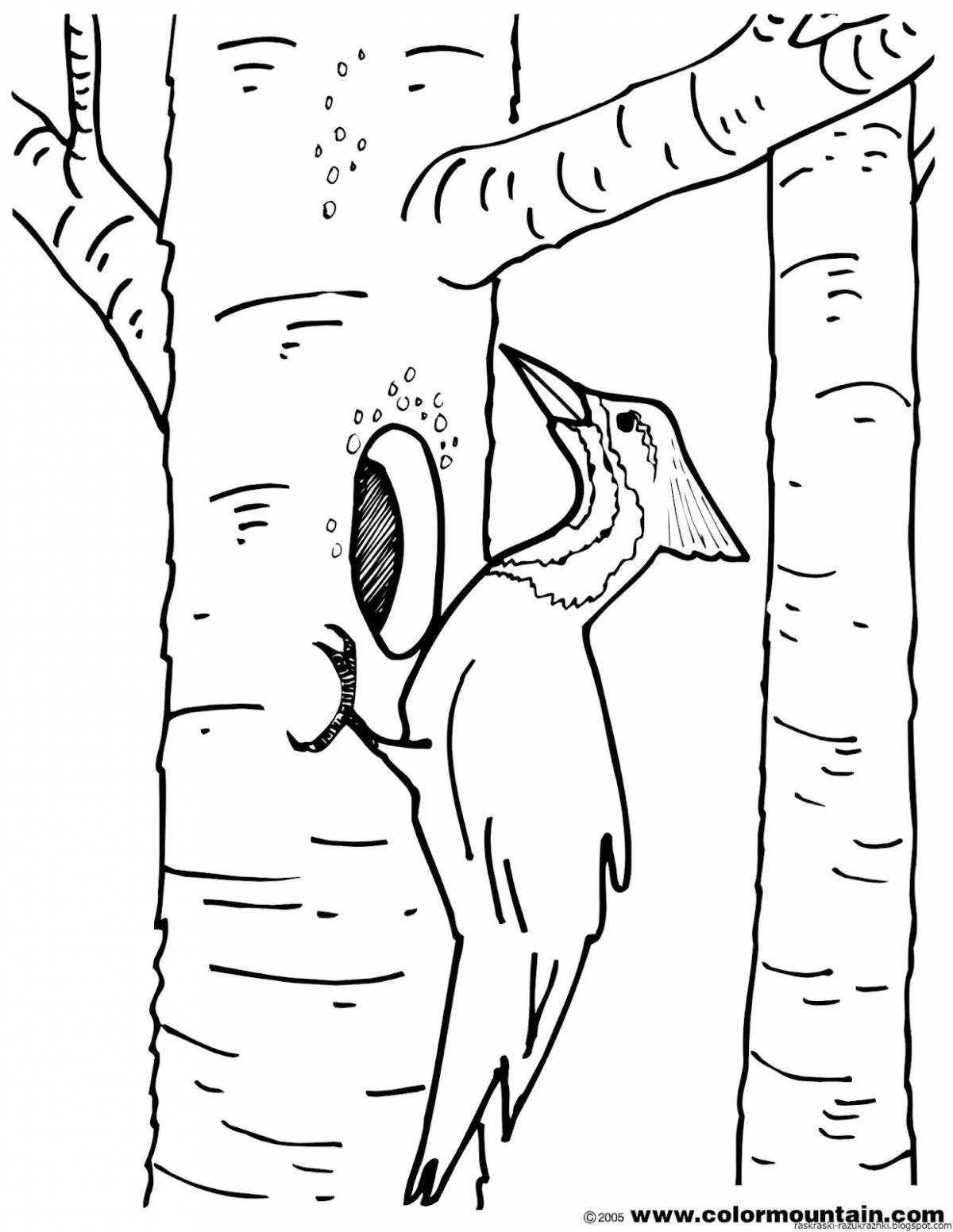 Coloring book joyful birch grove for children