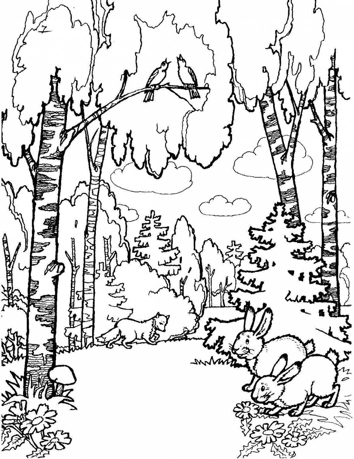 Amazing birch grove coloring page for kids