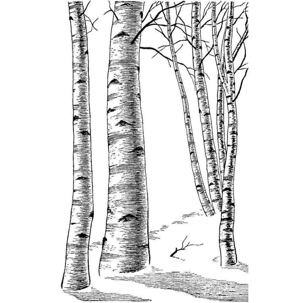 Playful birch grove coloring page for kids