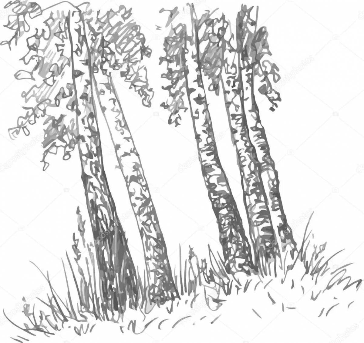 Birch grove for kids #6