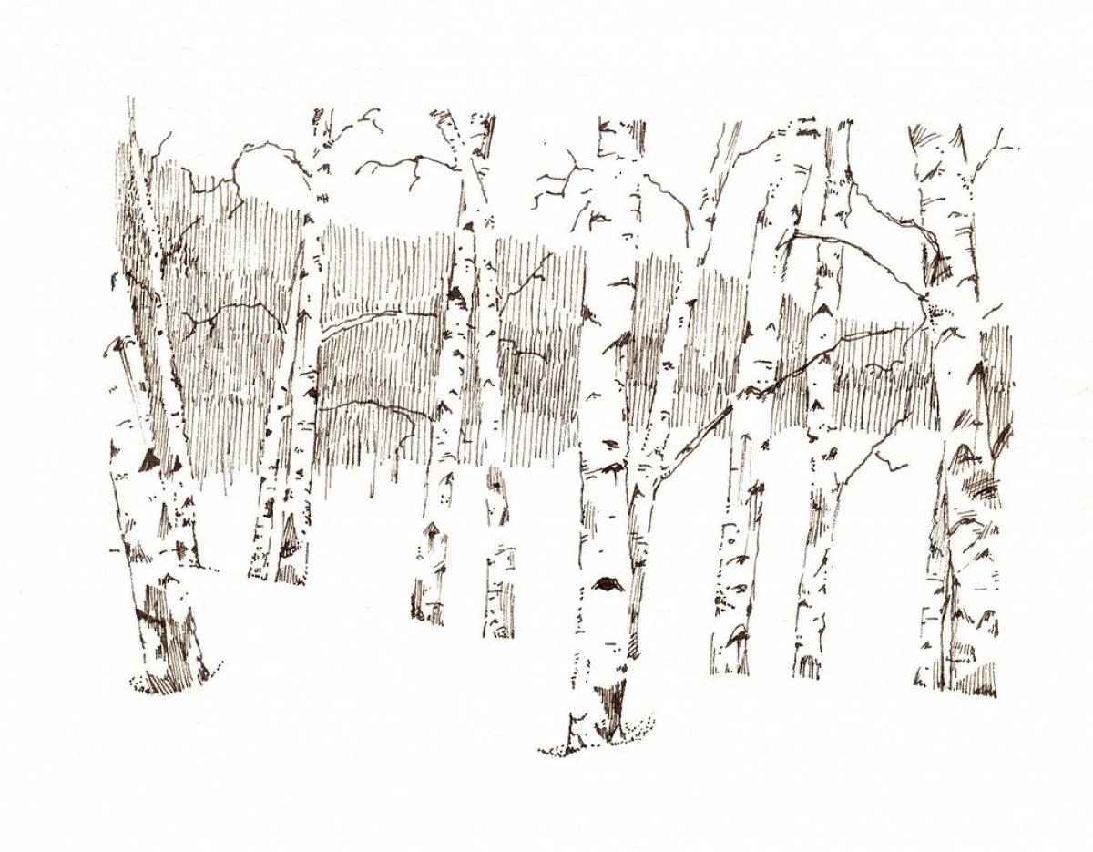 Birch grove for kids #11