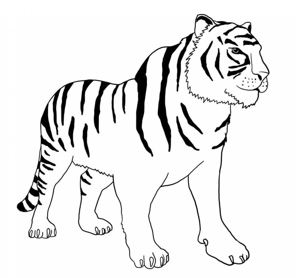 Очаровательная раскраска амурский тигр