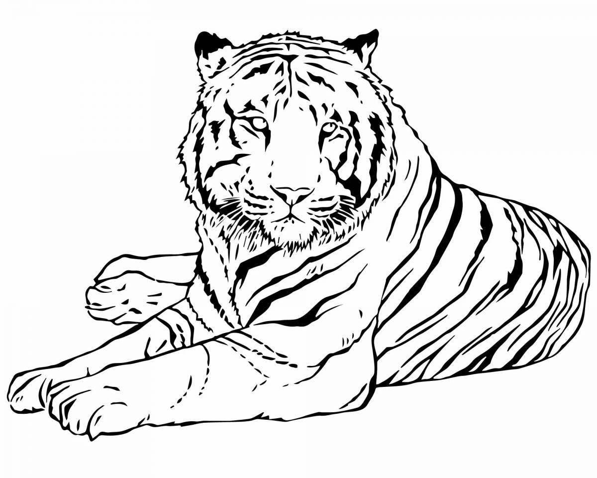 Раскраска эффектный амурский тигр