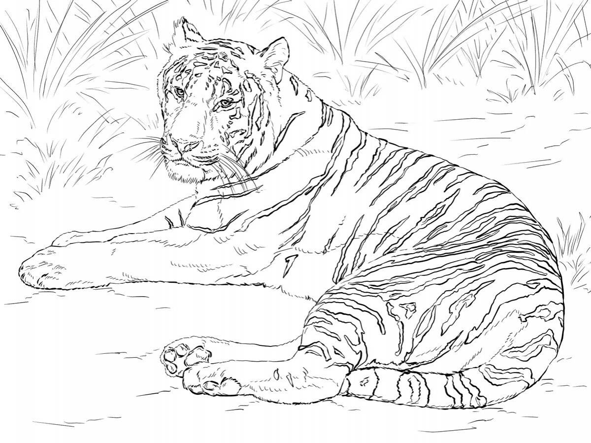 Coloring page bizarre siberian tiger