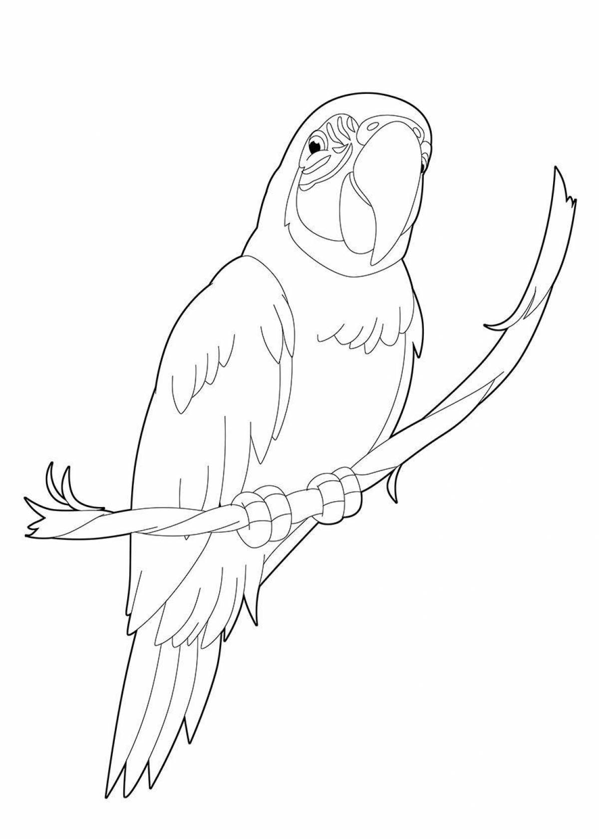 Colorful macaw parrot coloring page for kids