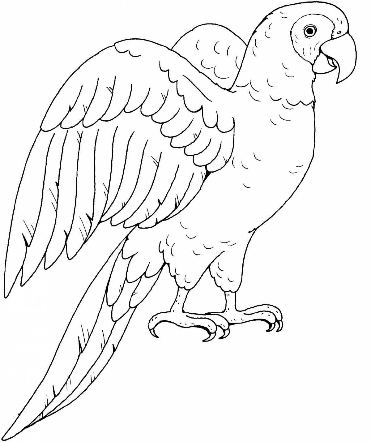 Увлекательная раскраска попугай ара для детей