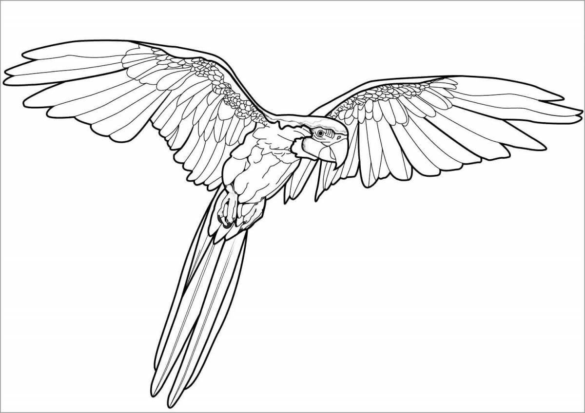 Cute macaw parrot coloring pages for kids