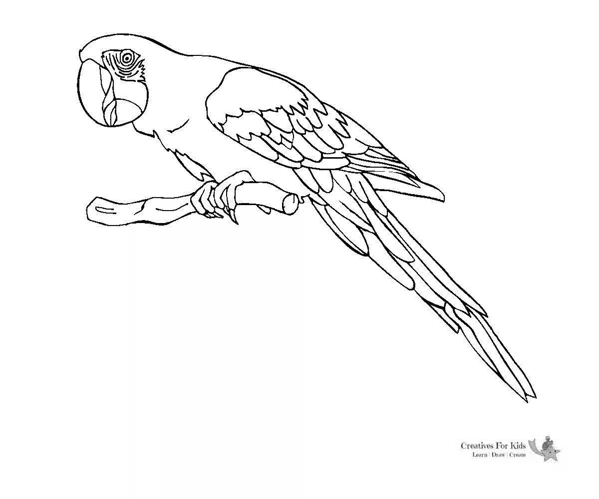 Потрясающая раскраска попугай ара для детей