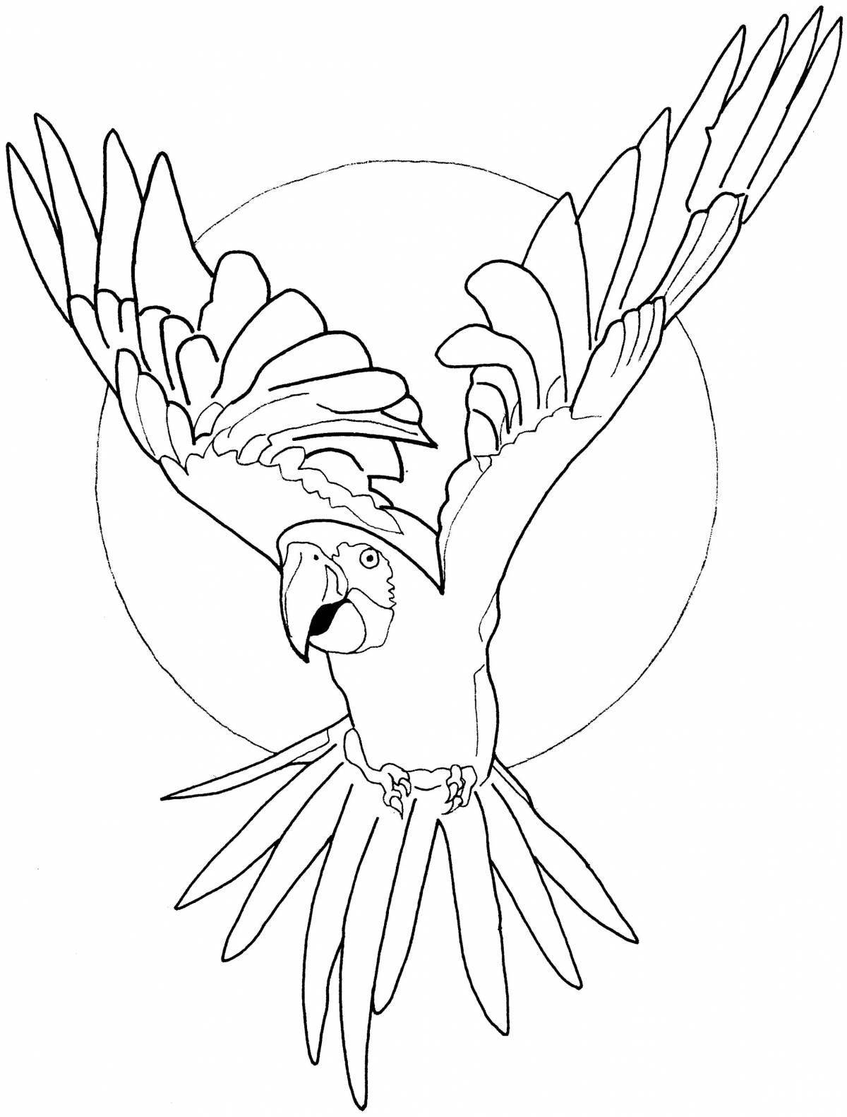 Сказочная раскраска попугай ара для детей