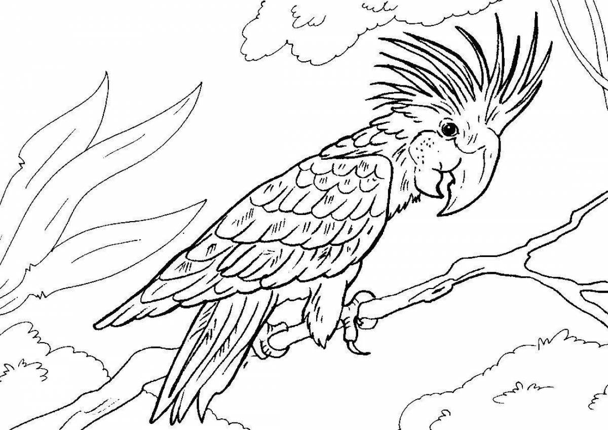 Классная раскраска попугай ара для детей