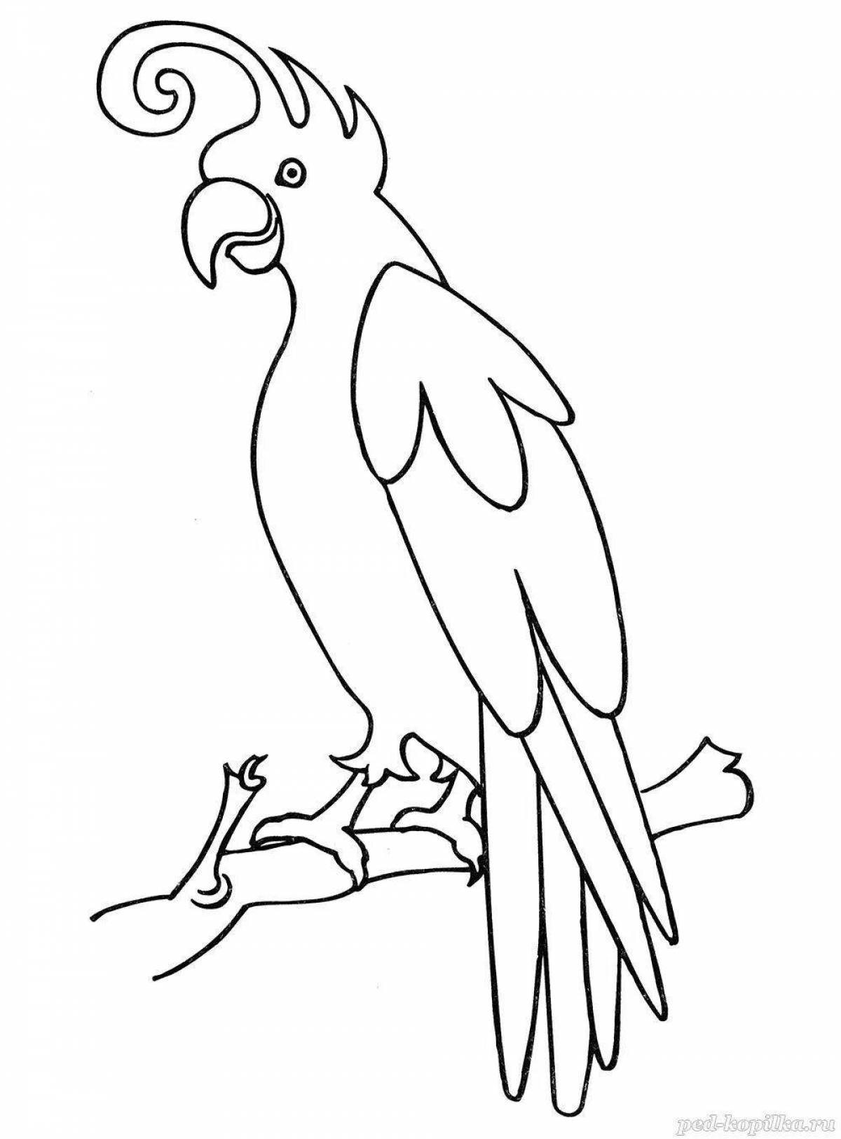 Раскраска очаровательный попугай ара для детей