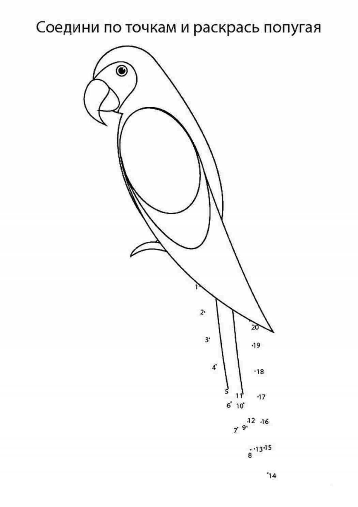 Adorable macaw parrot coloring book for kids