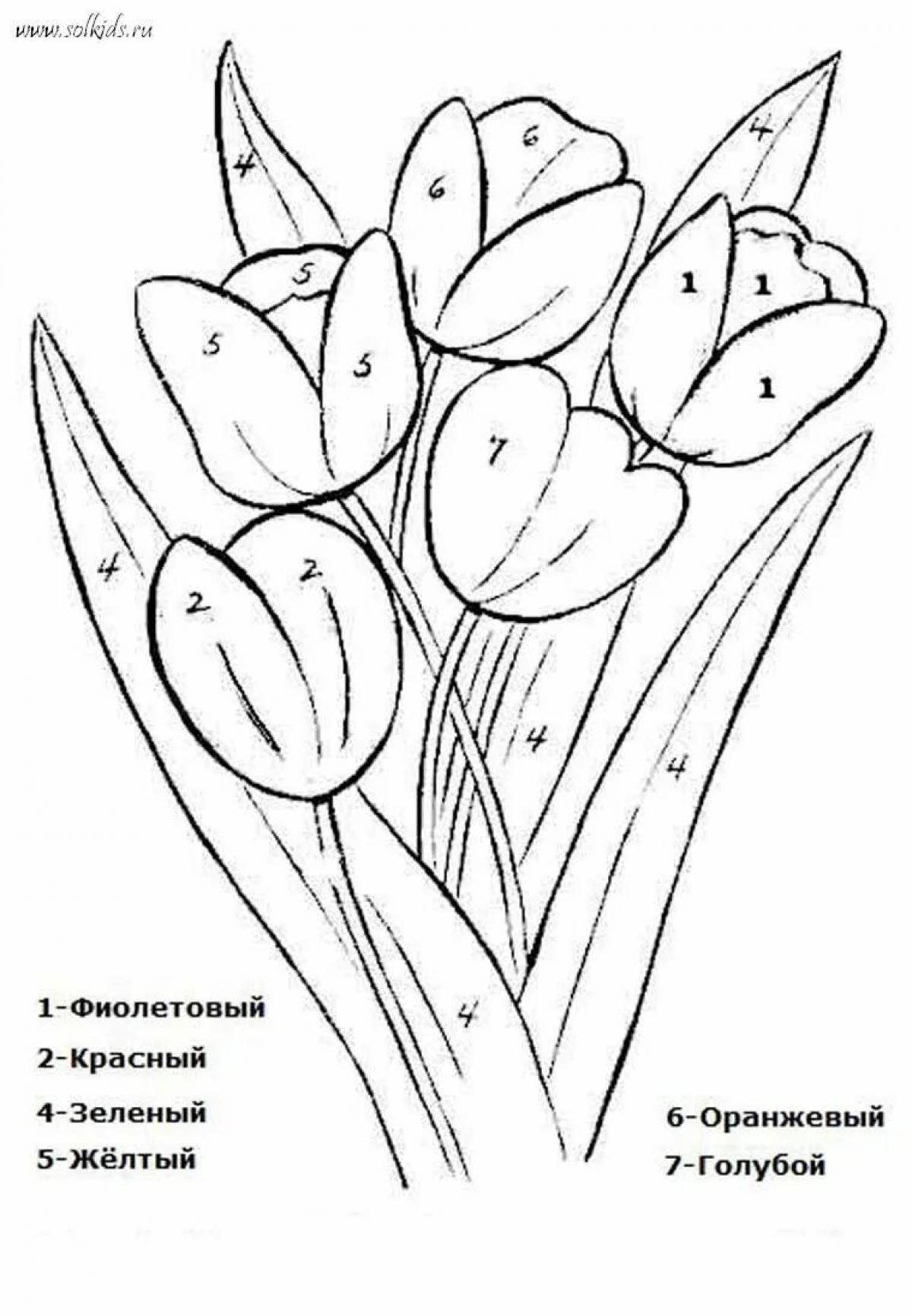Цвета раскраска для детей. Раскраска тюльпаны для детей 5-6 лет. Букет тюльпанов раскраска. Раскраска по номерам цветы для детей. Букет тюльпанов раскраска для детей.