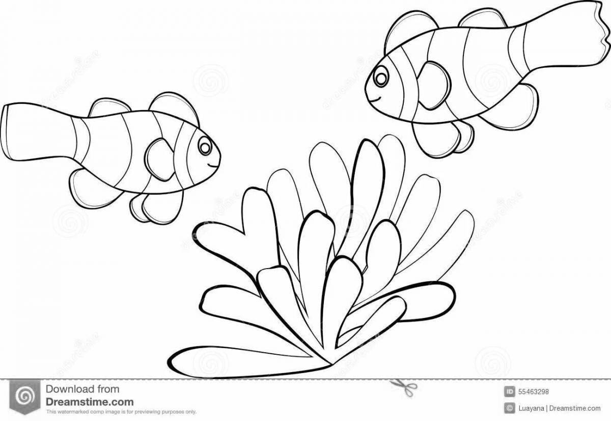Coloring pages for kids with colorful clownfish