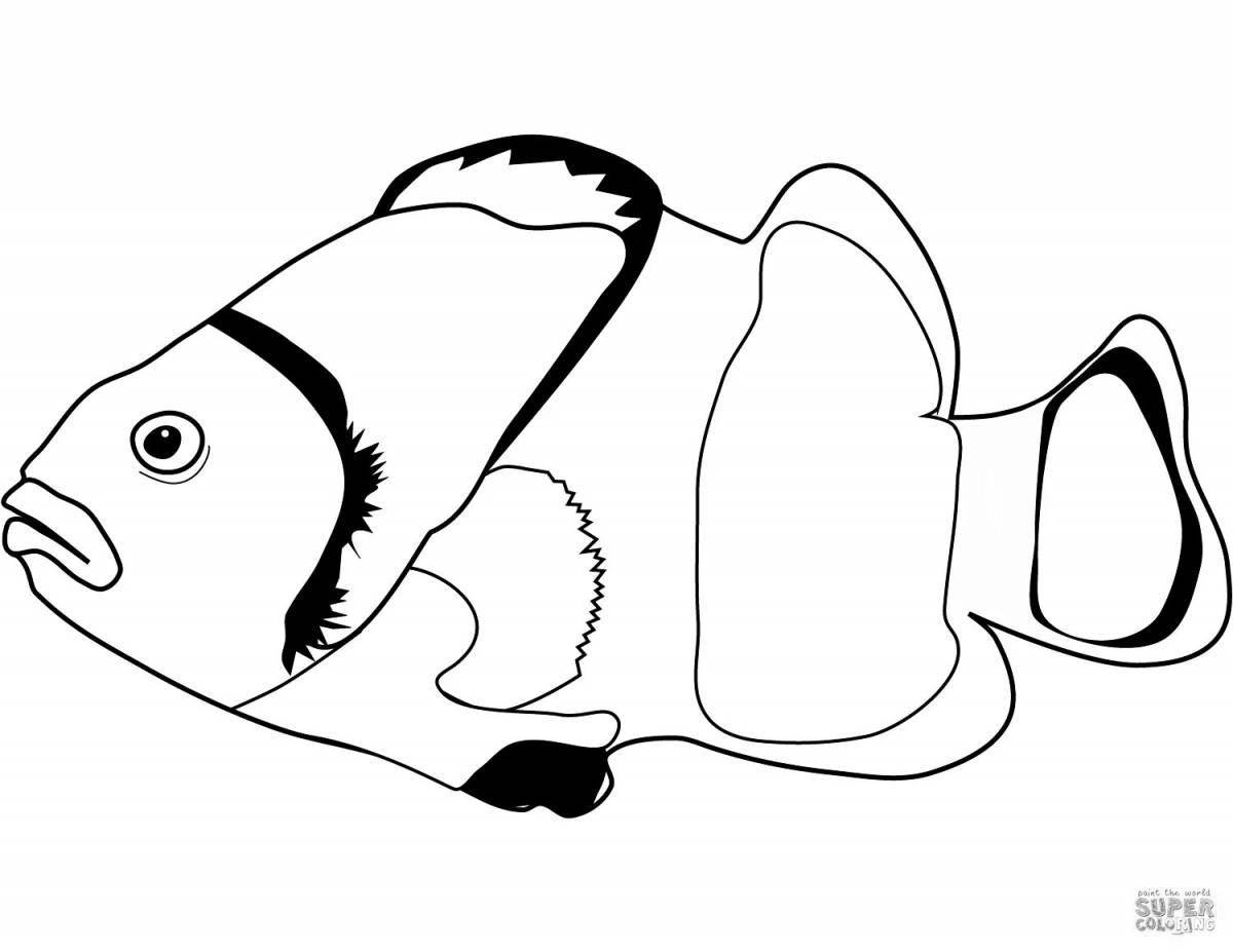 Яркая раскраска рыбы-клоуна для детей