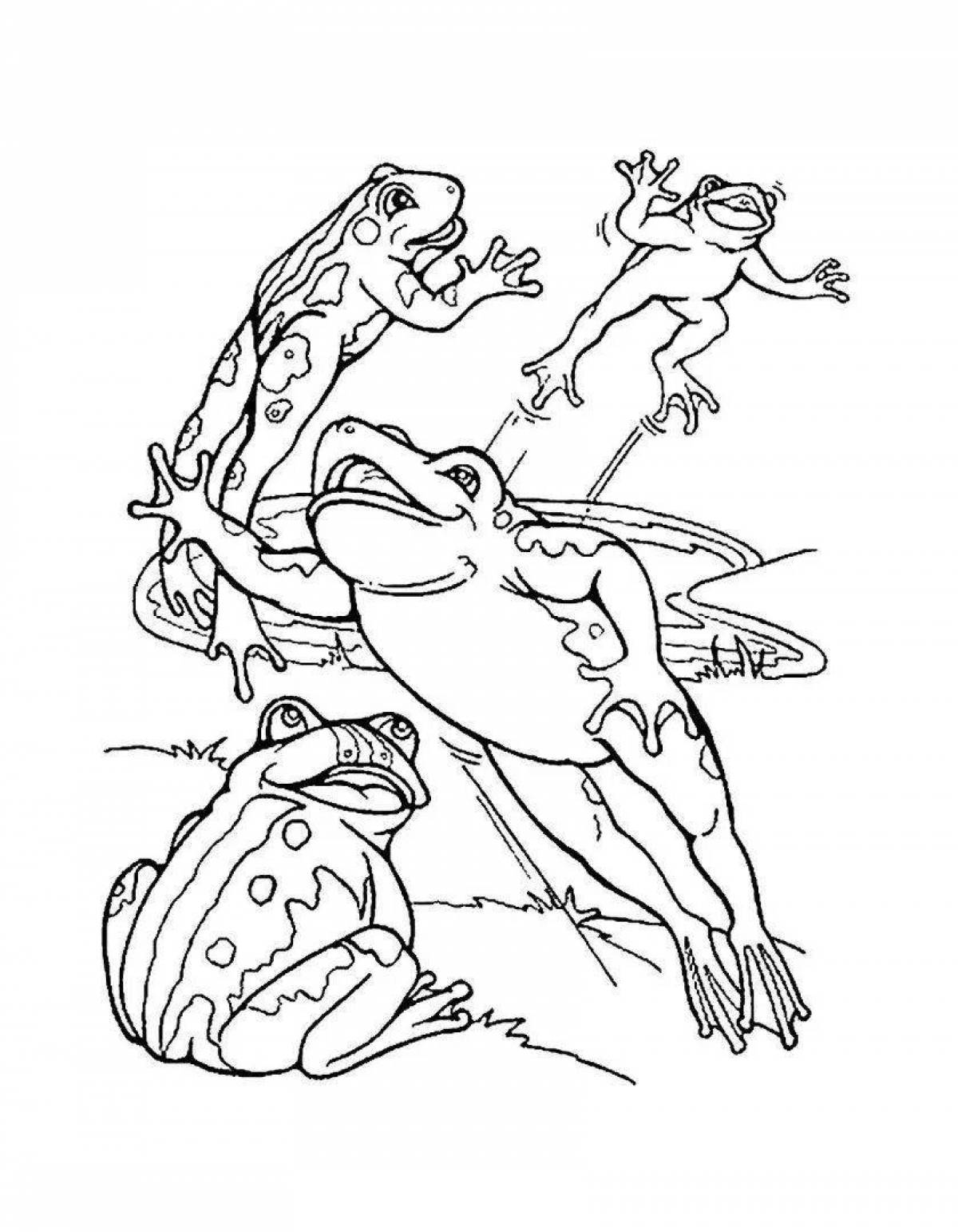 Очаровательная лягушка-путешественница-раскраска для детей