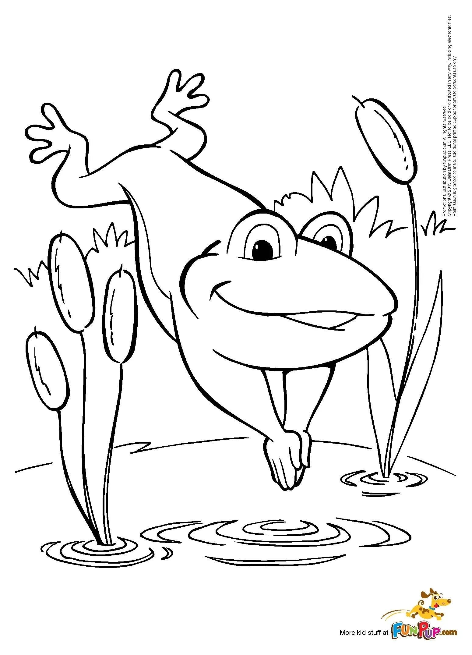 Frog traveler for kids #4