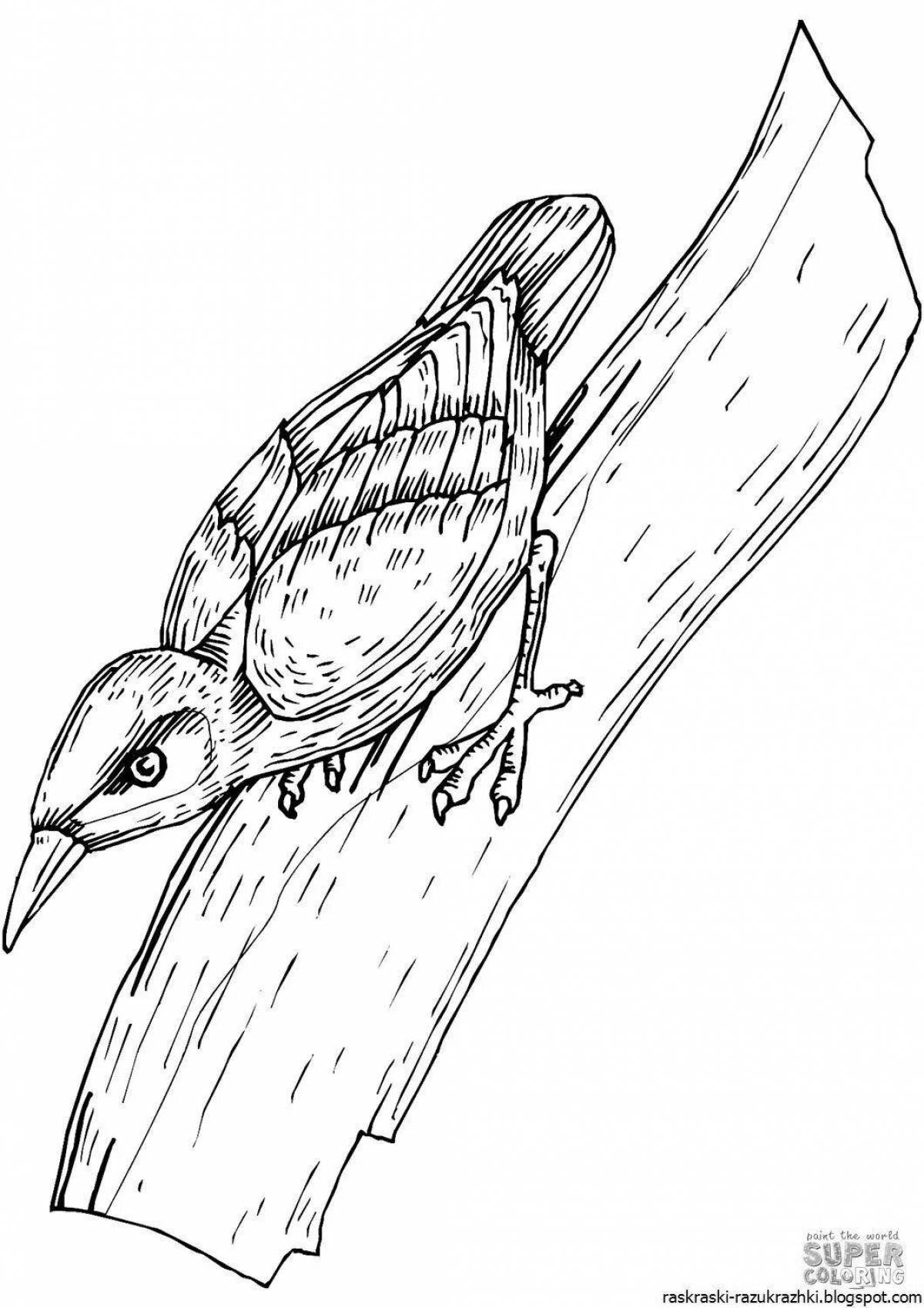 Photo Coloring book happy woodpecker for children 6-7 years old