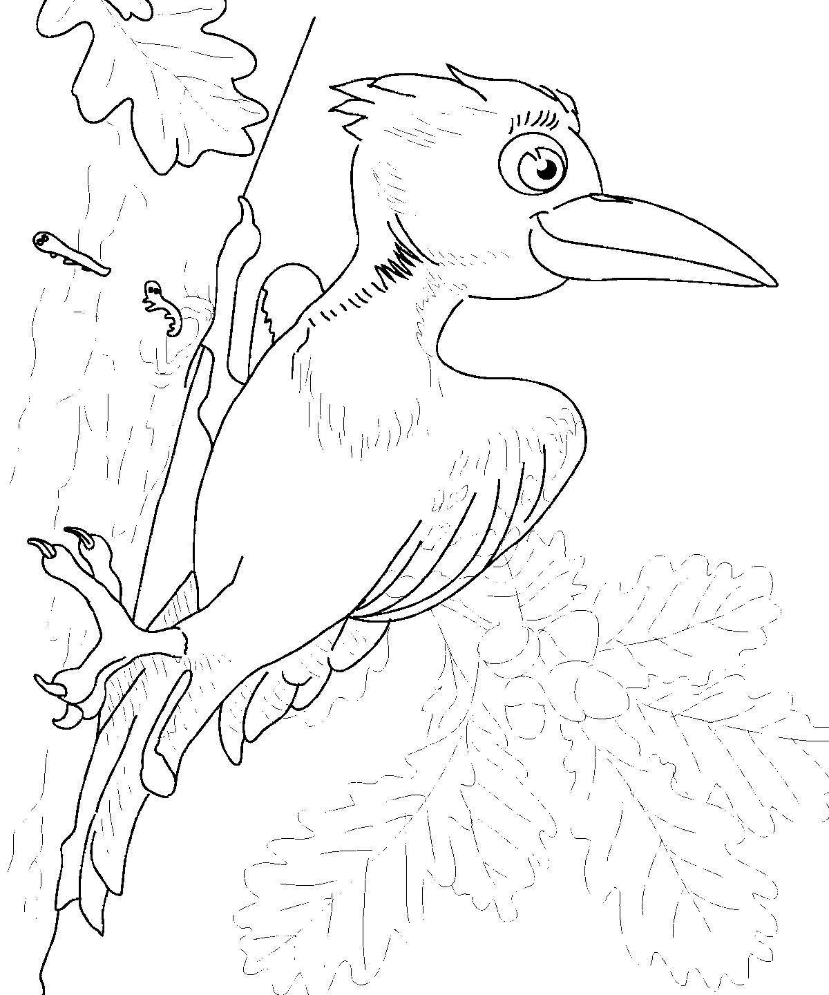 Fun coloring book woodpecker for children 6-7 years old