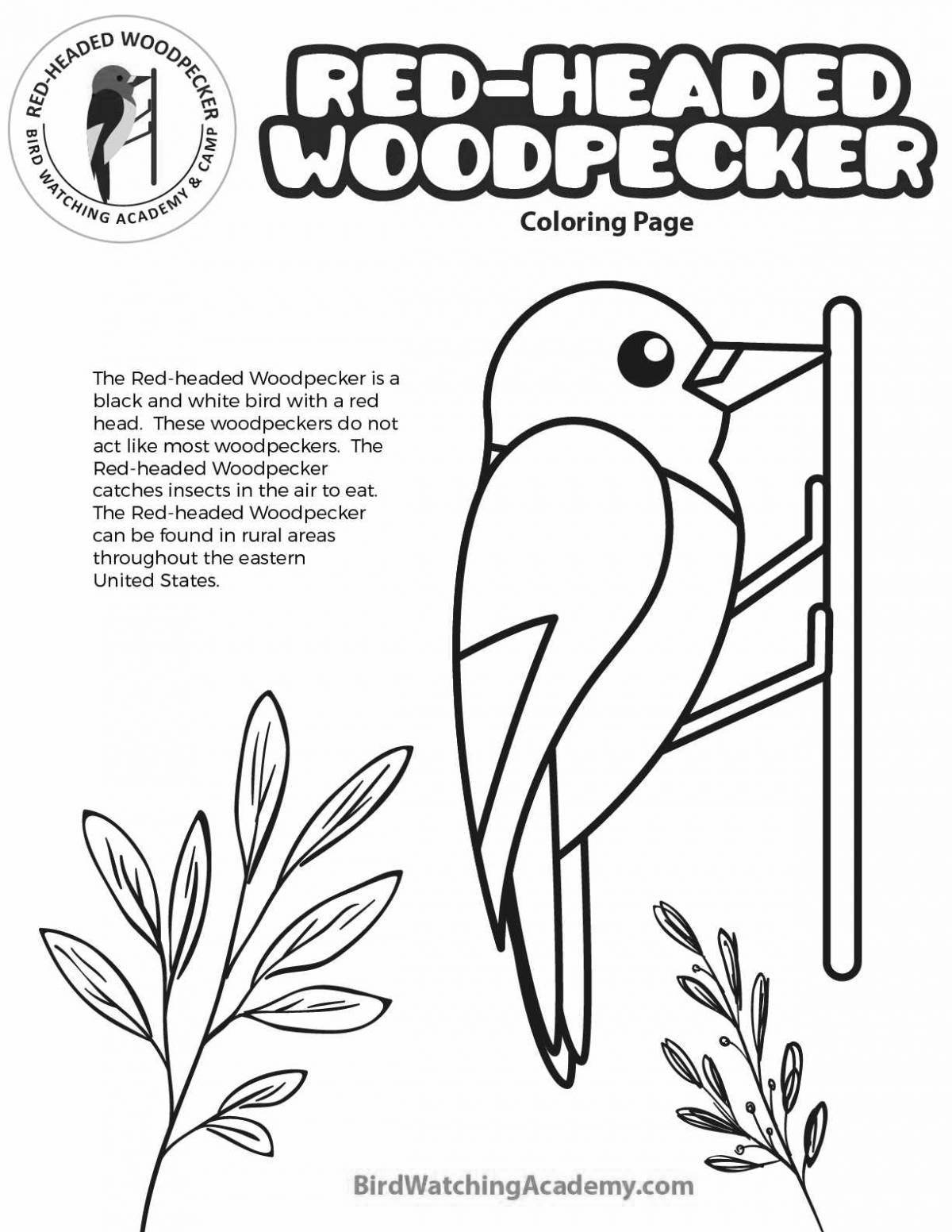 Coloring book glowing woodpecker for children 6-7 years old