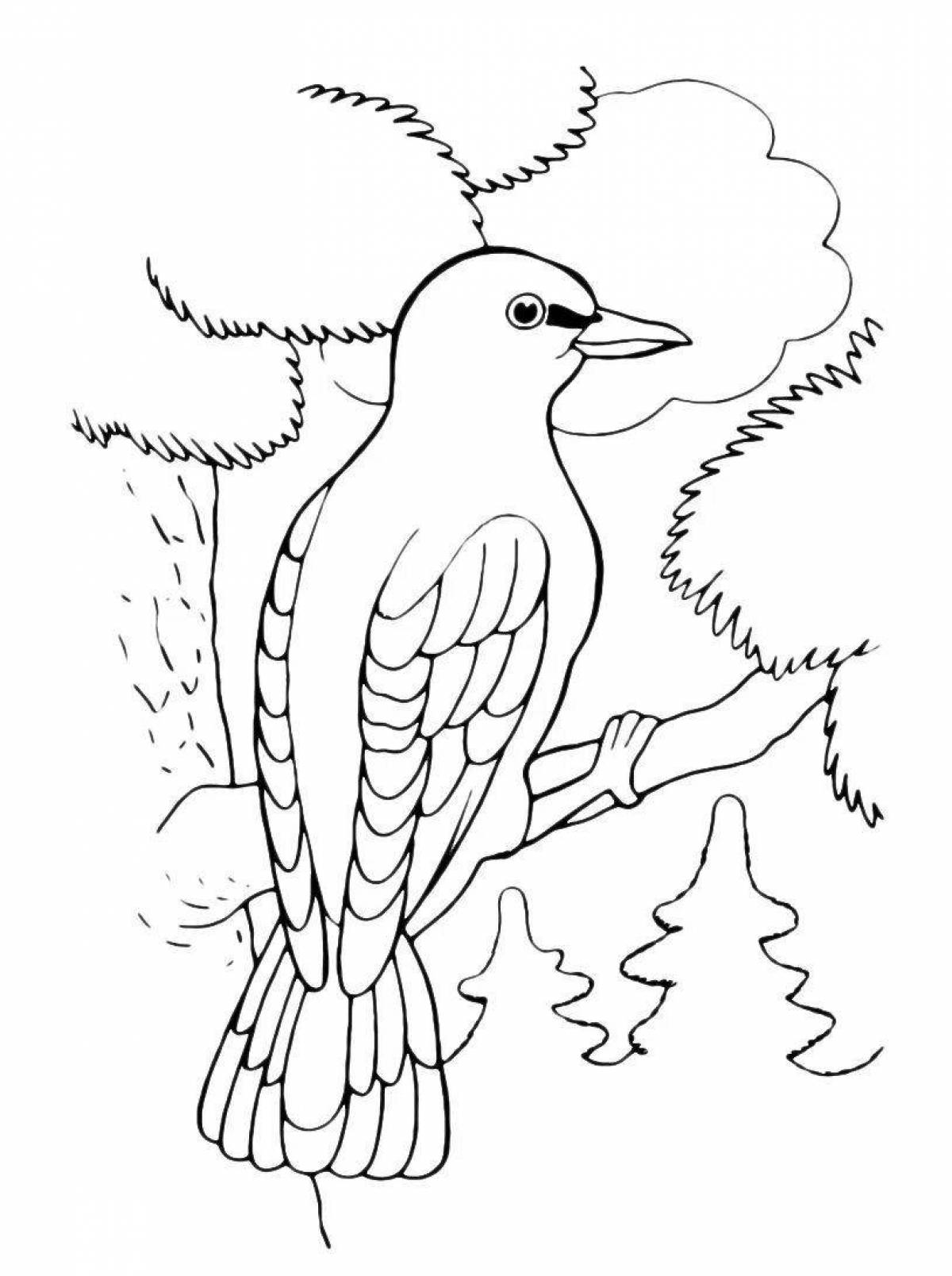 Coloring book energetic woodpecker for children 6-7 years old