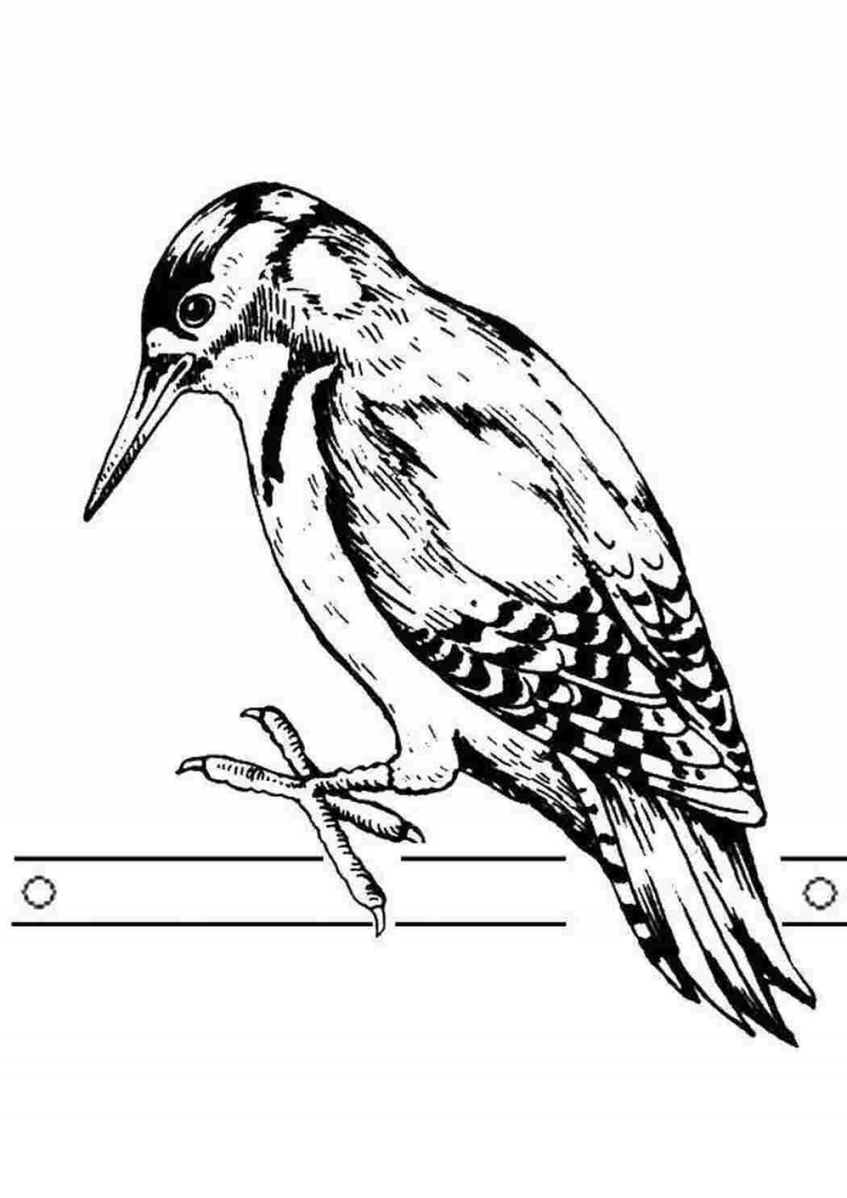 Active woodpecker coloring book for 6-7 year olds