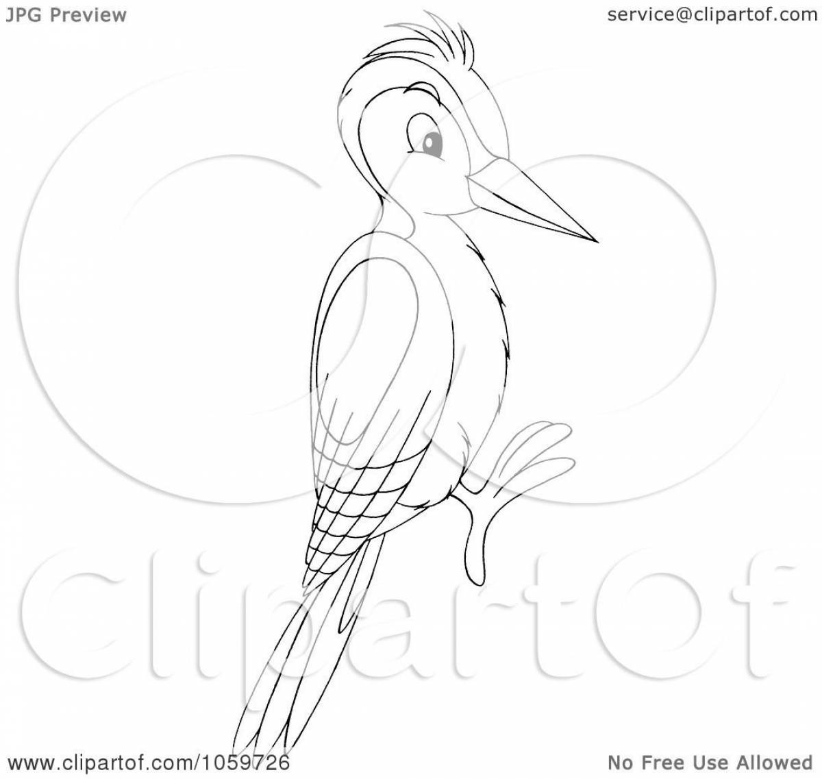 Detailed woodpecker coloring for children 6-7 years old