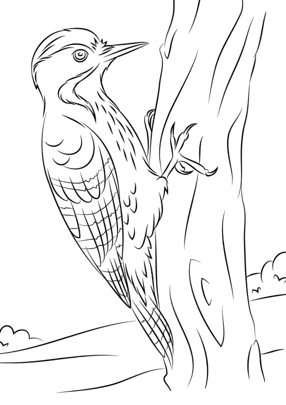 Intricate woodpecker coloring book for 6-7 year olds