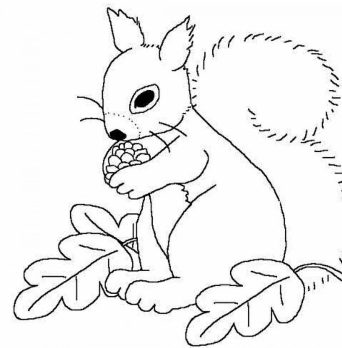Squirrel live coloring for children 6-7 years old