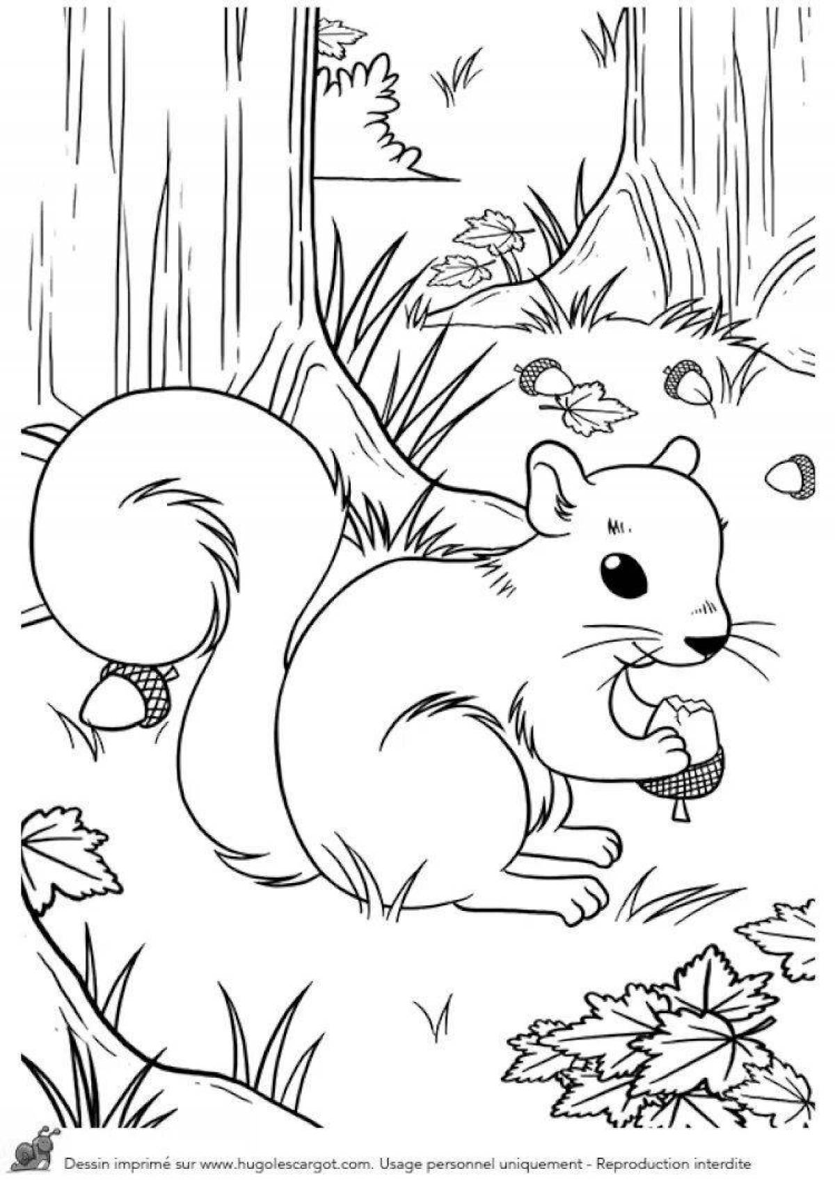 Funny squirrel coloring book for kids 6-7 years old