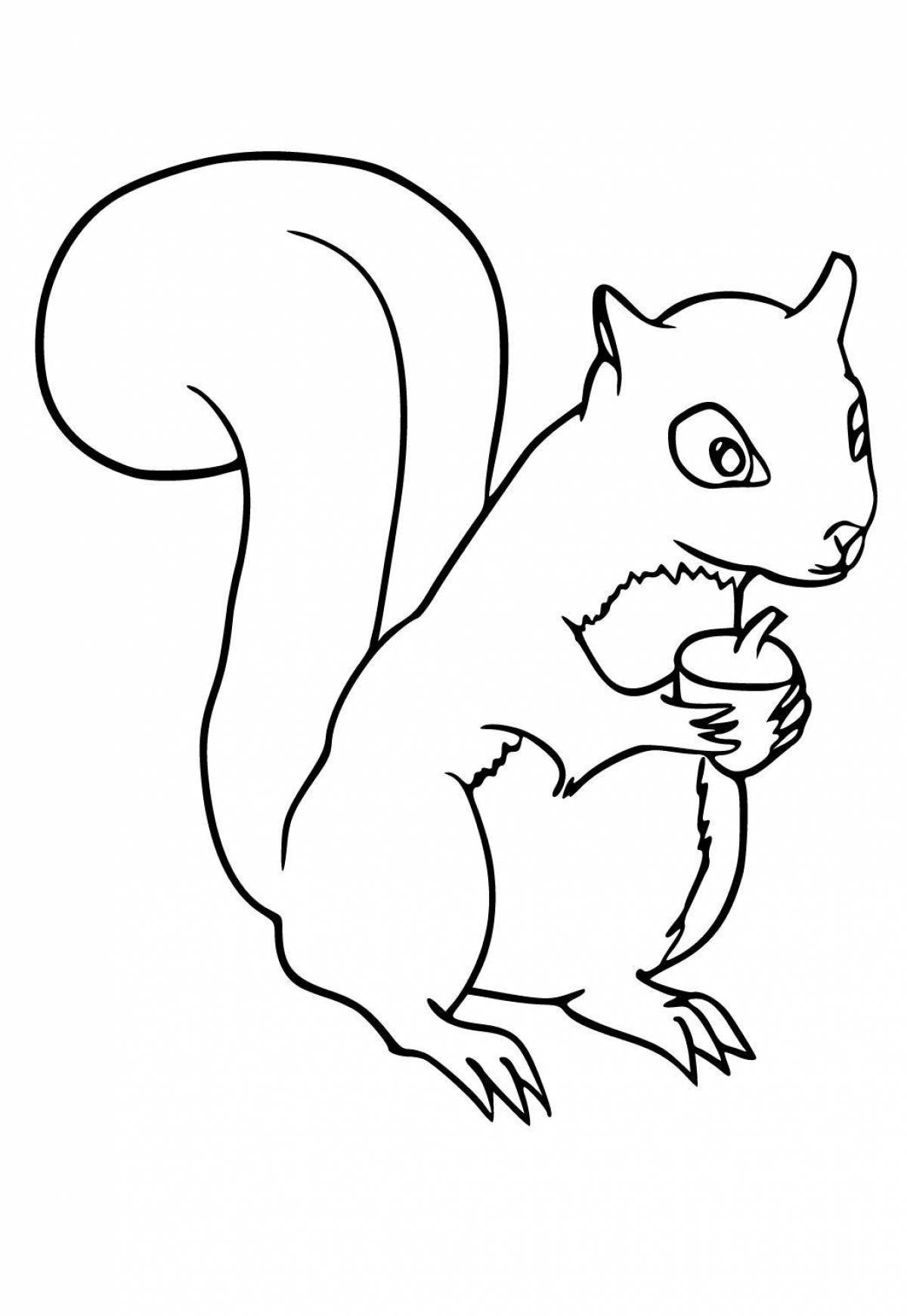 Magic coloring squirrel for children 6-7 years old