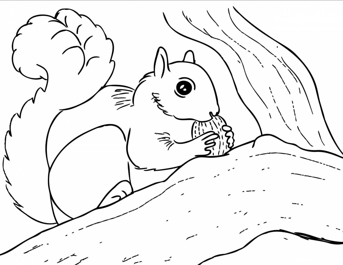 Color-bright squirrel coloring book for children 6-7 years old