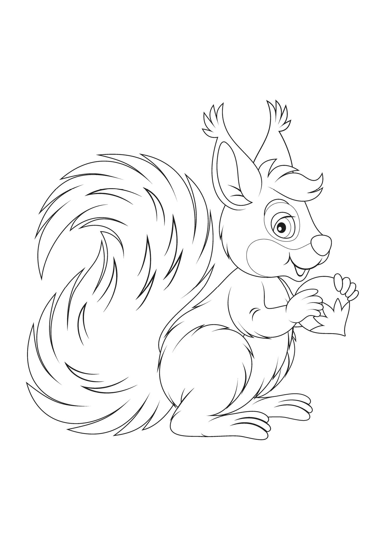 Color live coloring squirrel for children 6-7 years old