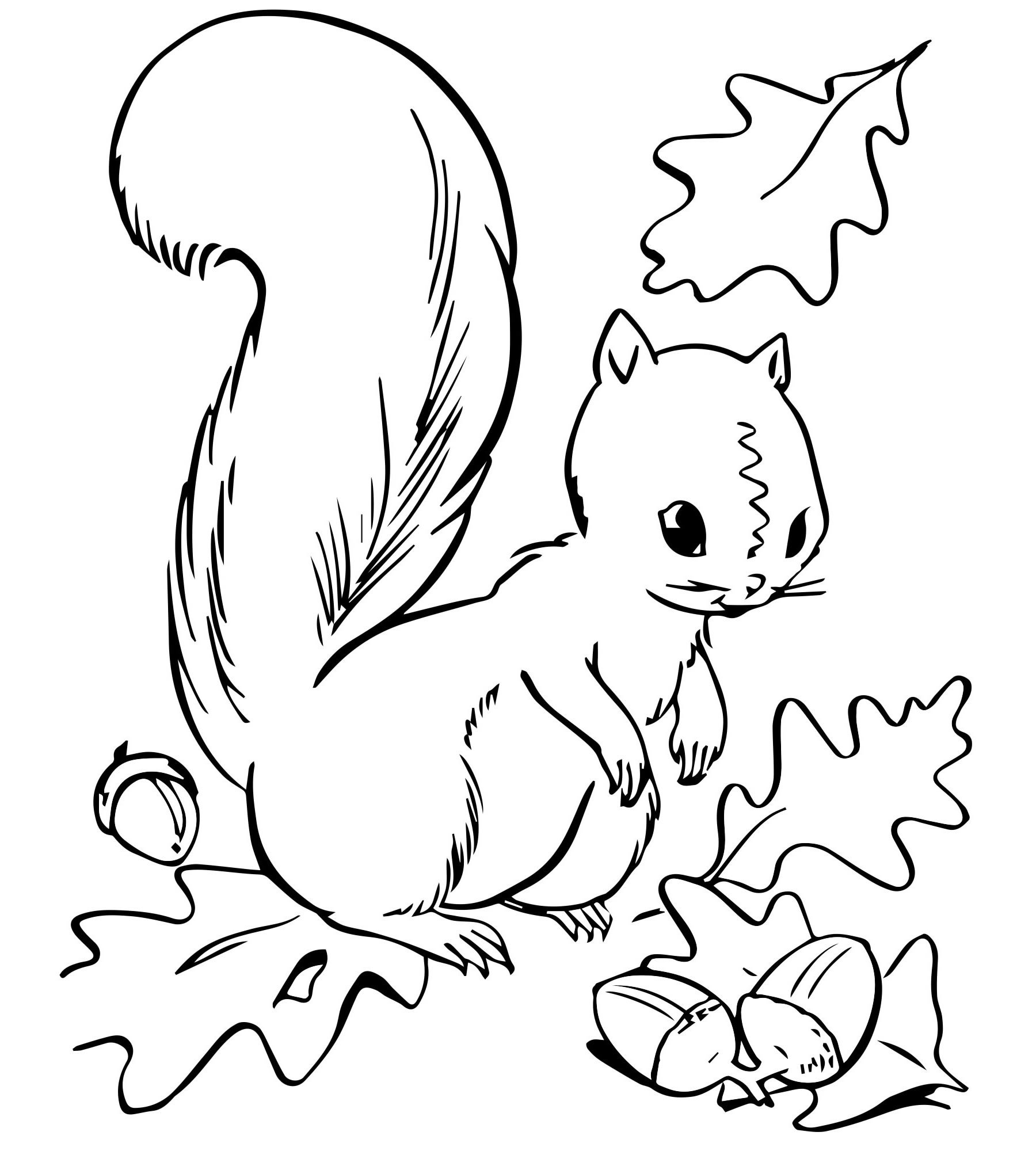 Squirrel for children 6 7 years old #6