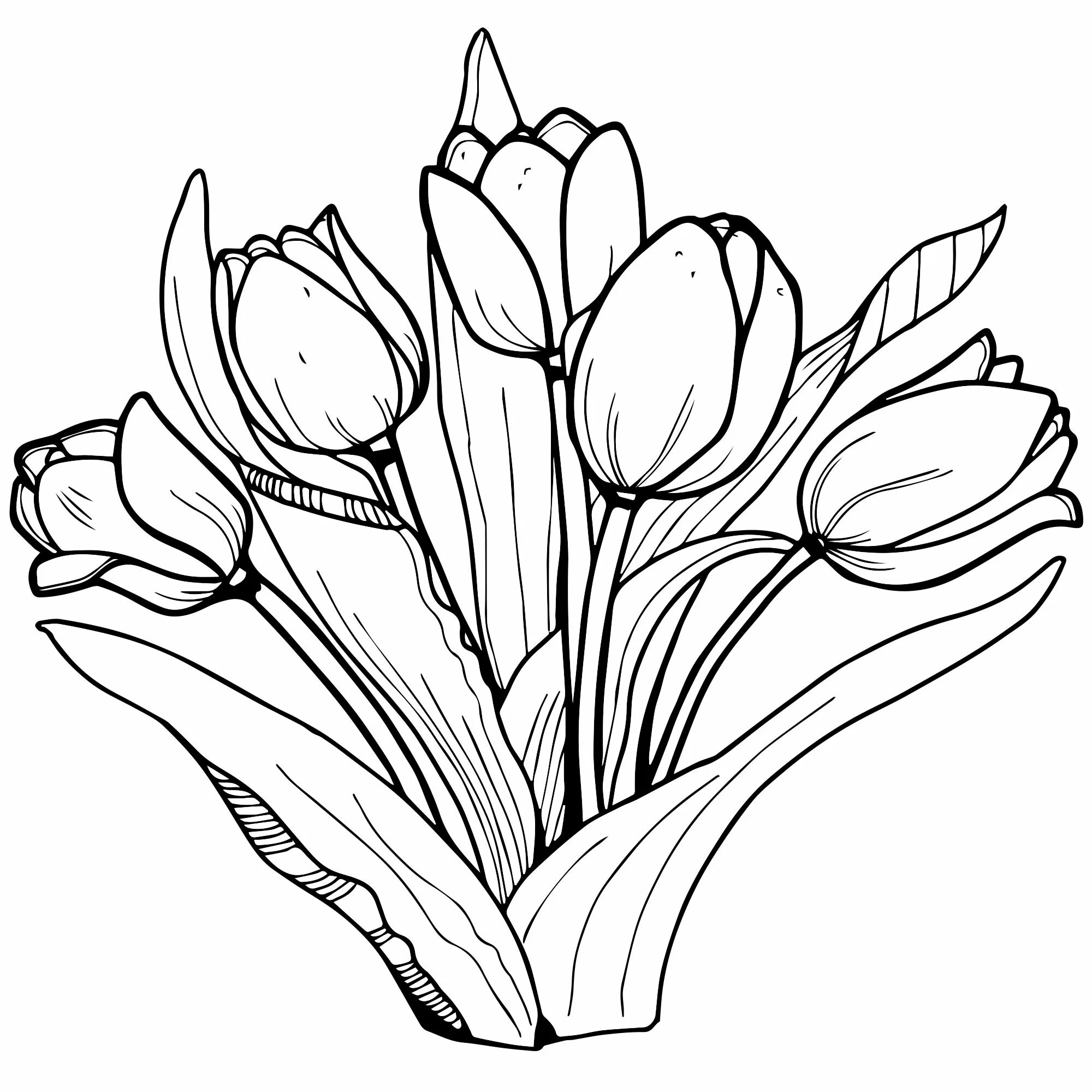 Coloring for bright tulips for children 5-6 years old