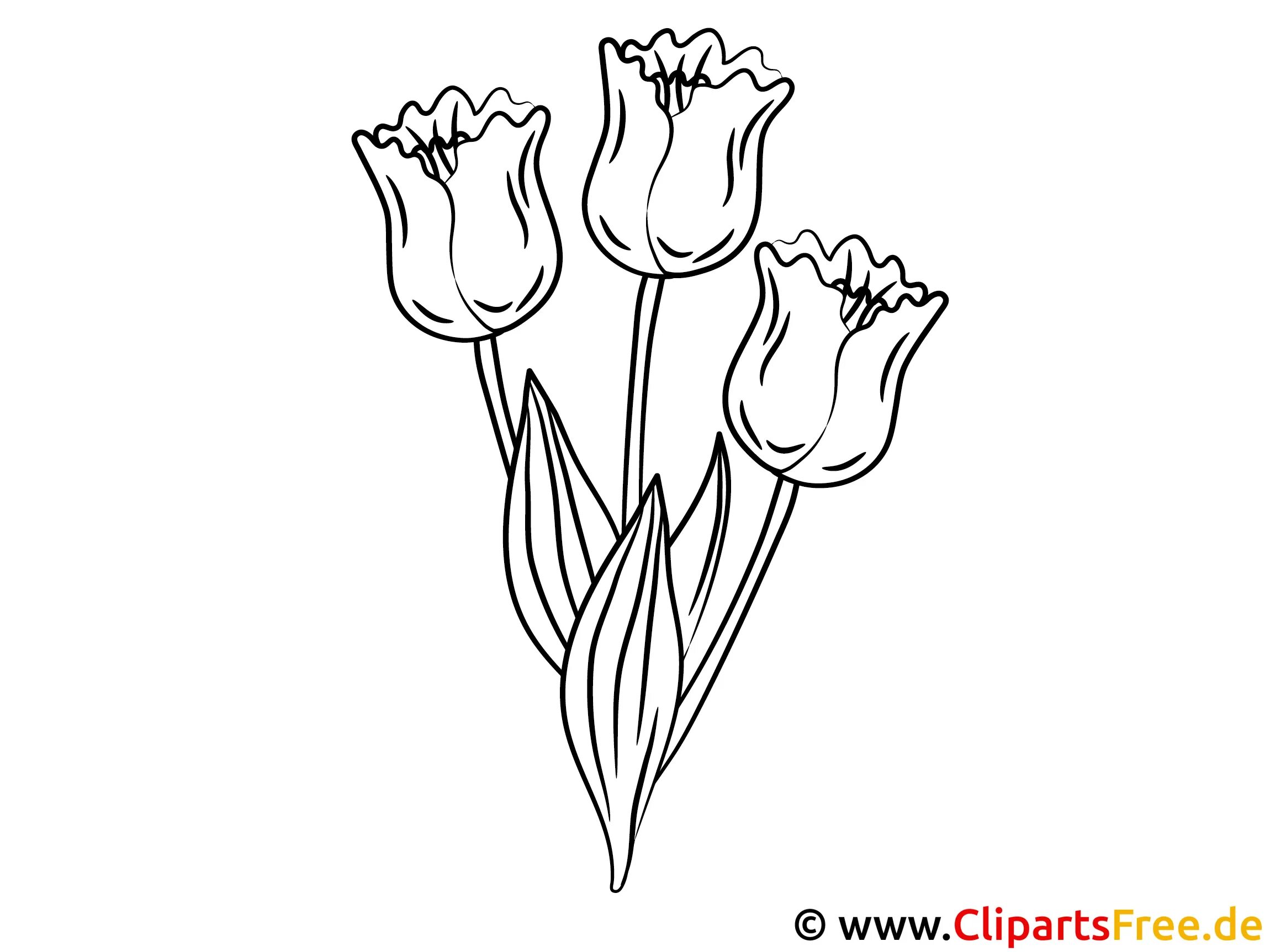 Coloring page joyful tulips for children 5-6 years old