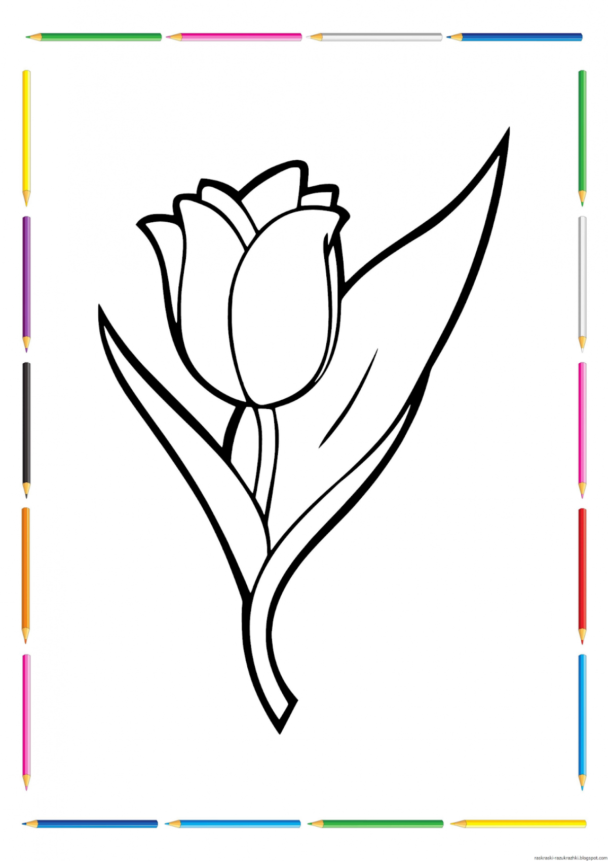 Photo Amazing tulips coloring book for kids 5-6 years old