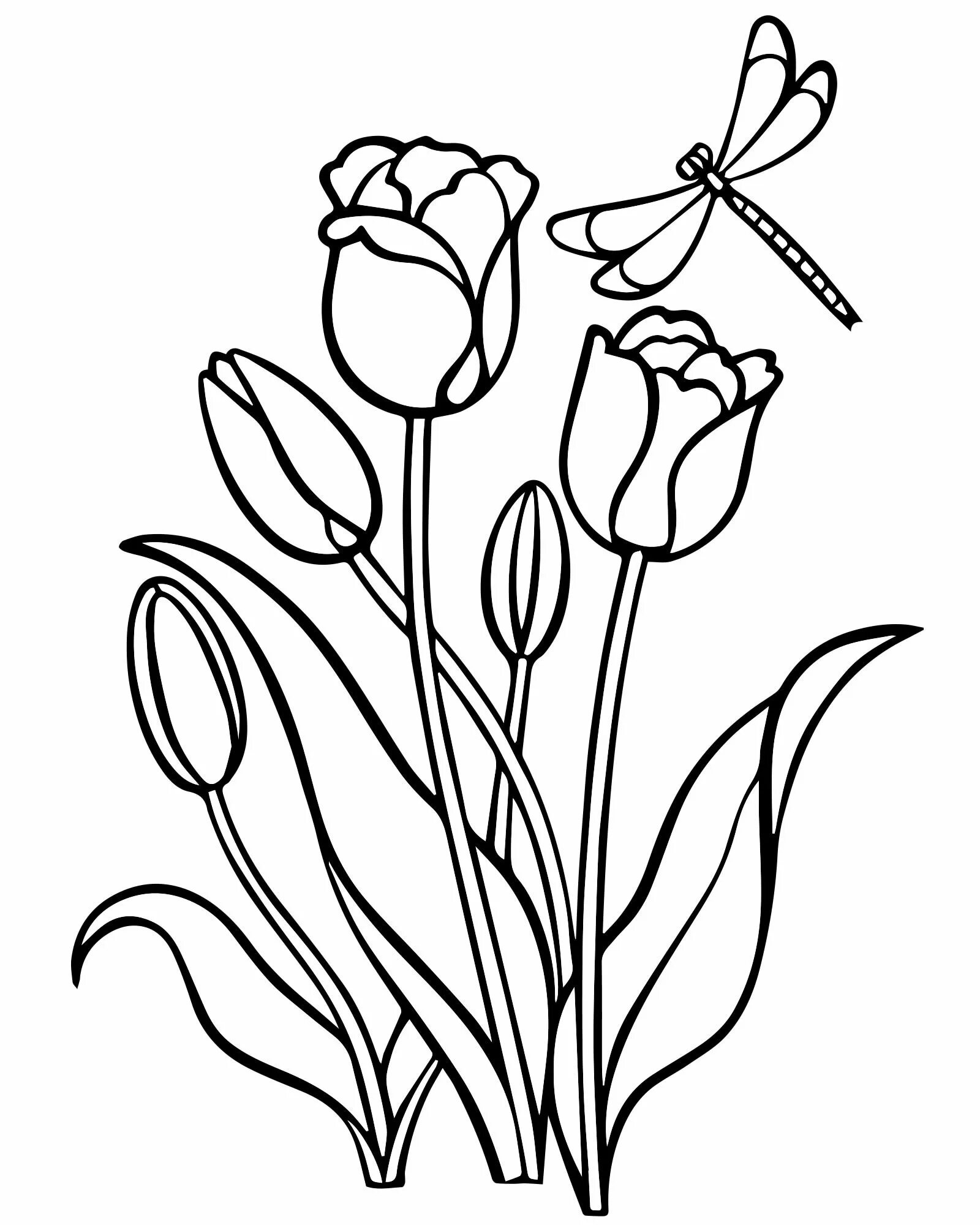 Раскраска сверкающие тюльпаны для детей 5-6 лет