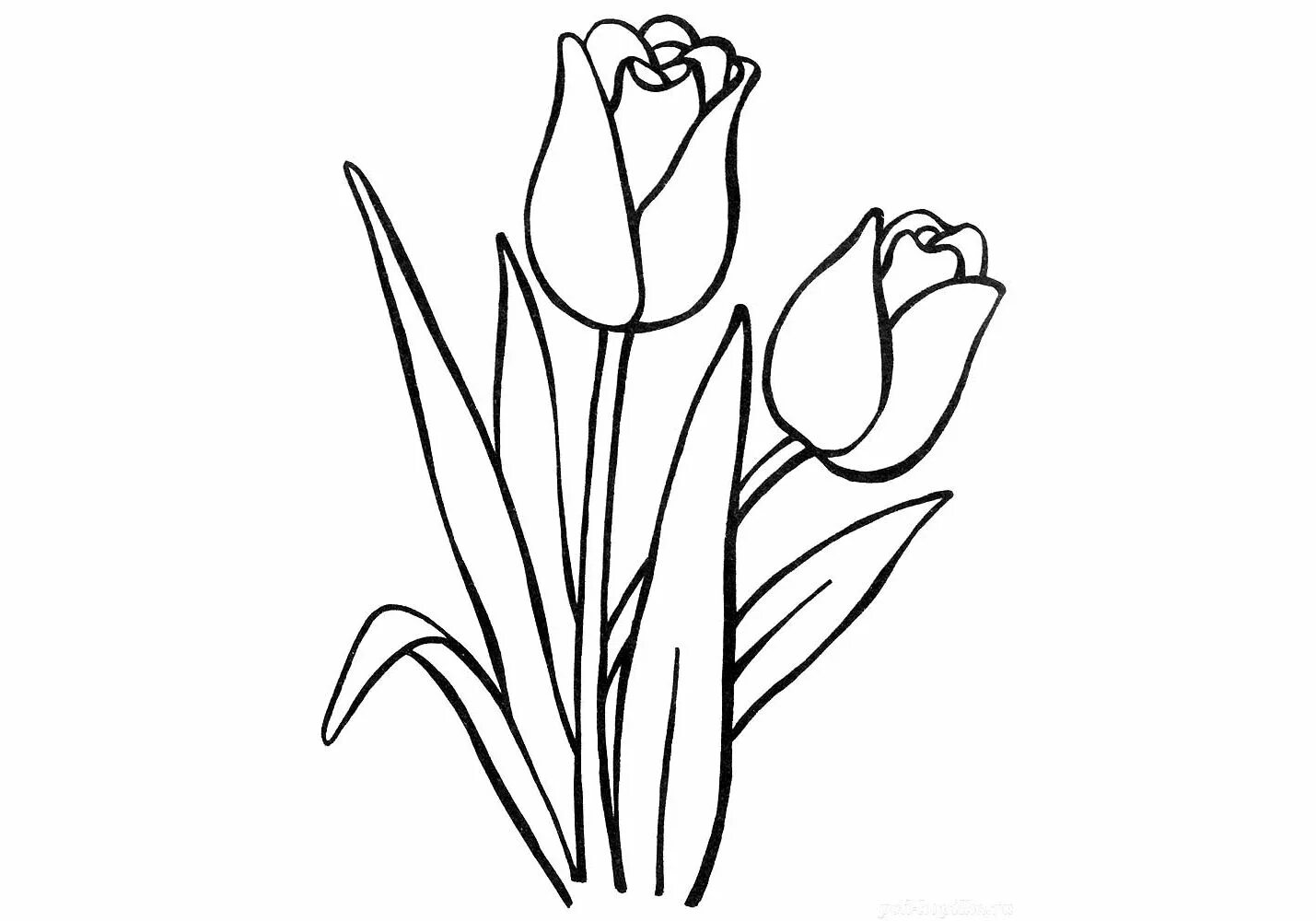 Coloring book cute tulips for children 5-6 years old