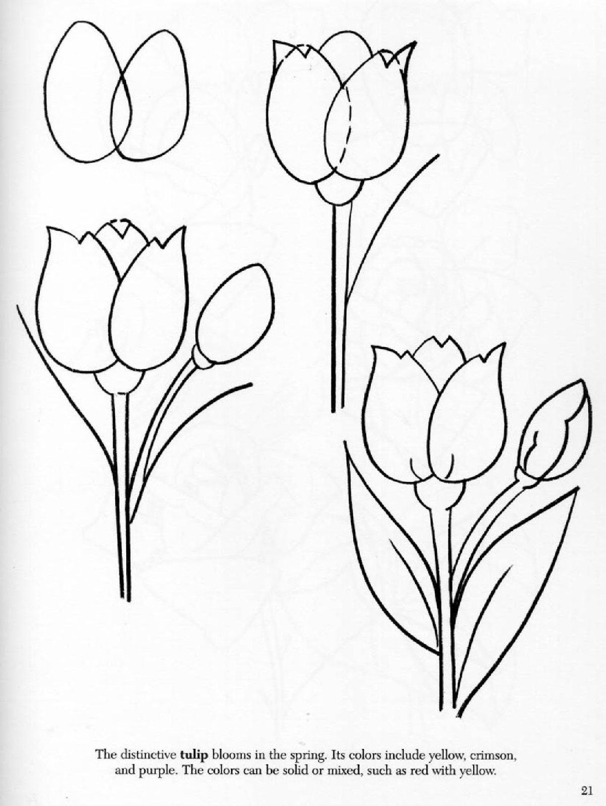 Beautiful tulips coloring for children 5-6 years old