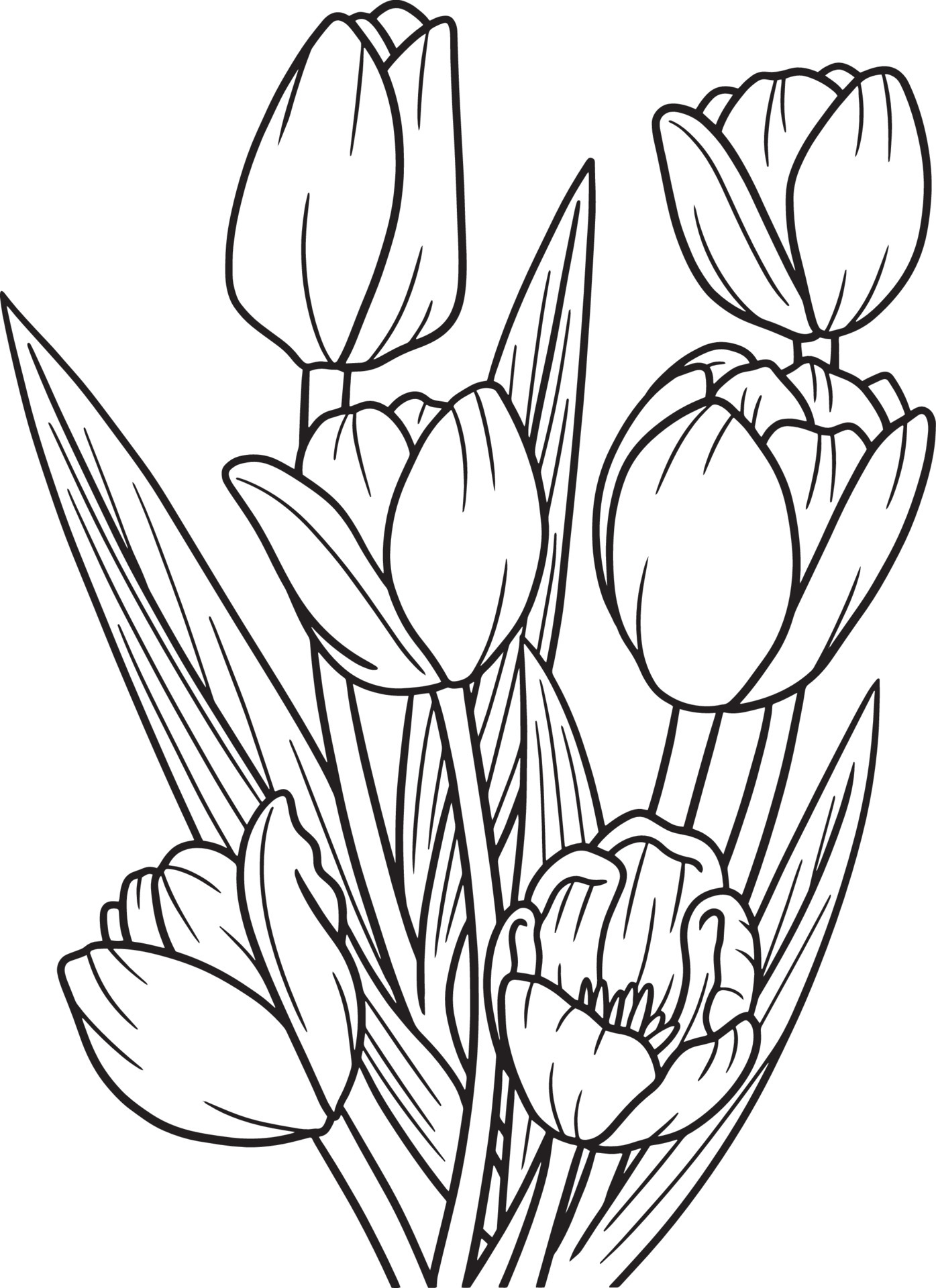 Раскраска сказочные тюльпаны для детей 5-6 лет