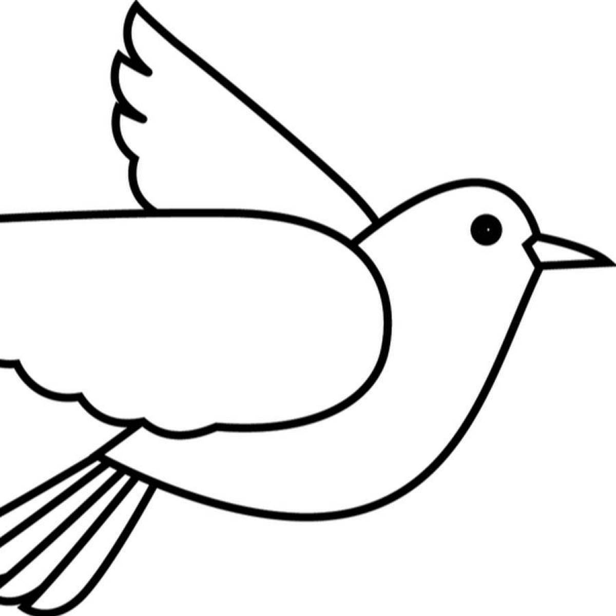 Coloring pages with cute birds for 2-3 year olds