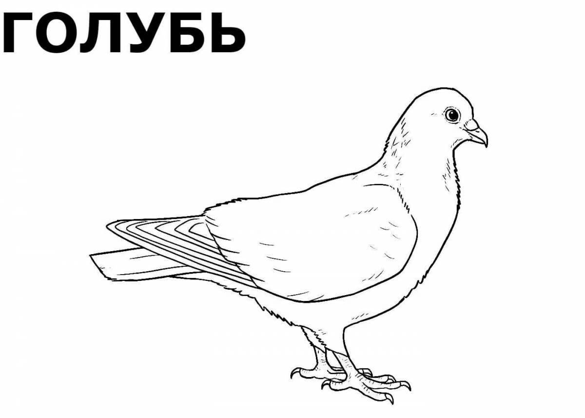Wonderful coloring pages of birds for preschoolers 2-3 years old
