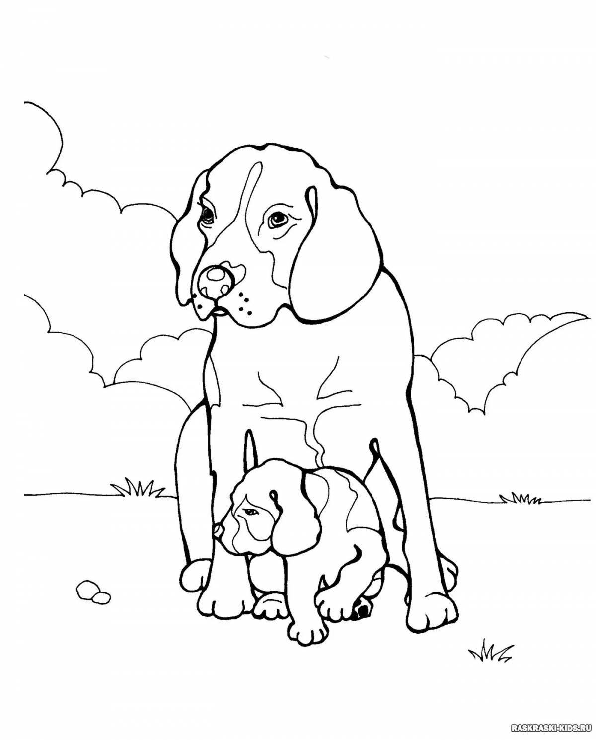 Fun coloring book animals and their babies for kids
