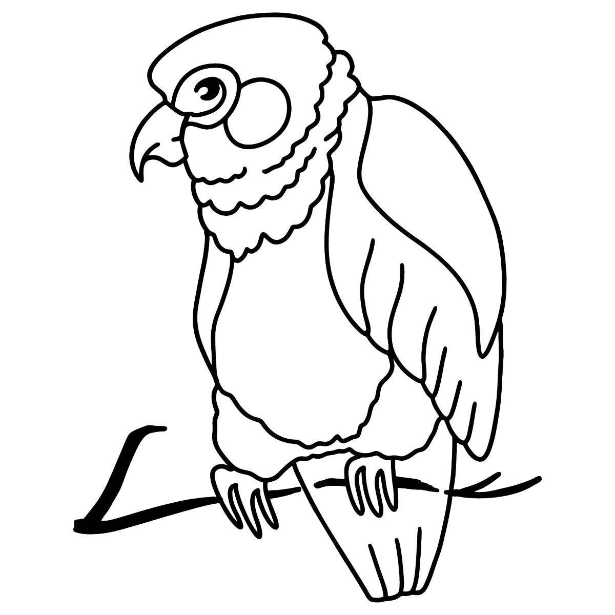 Fun coloring parrot for children 6-7 years old