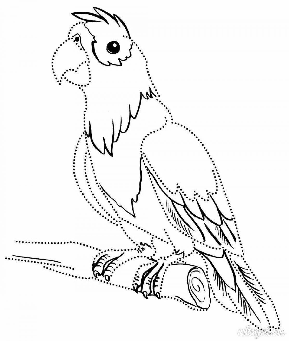Fun coloring book parrot for children 6-7 years old