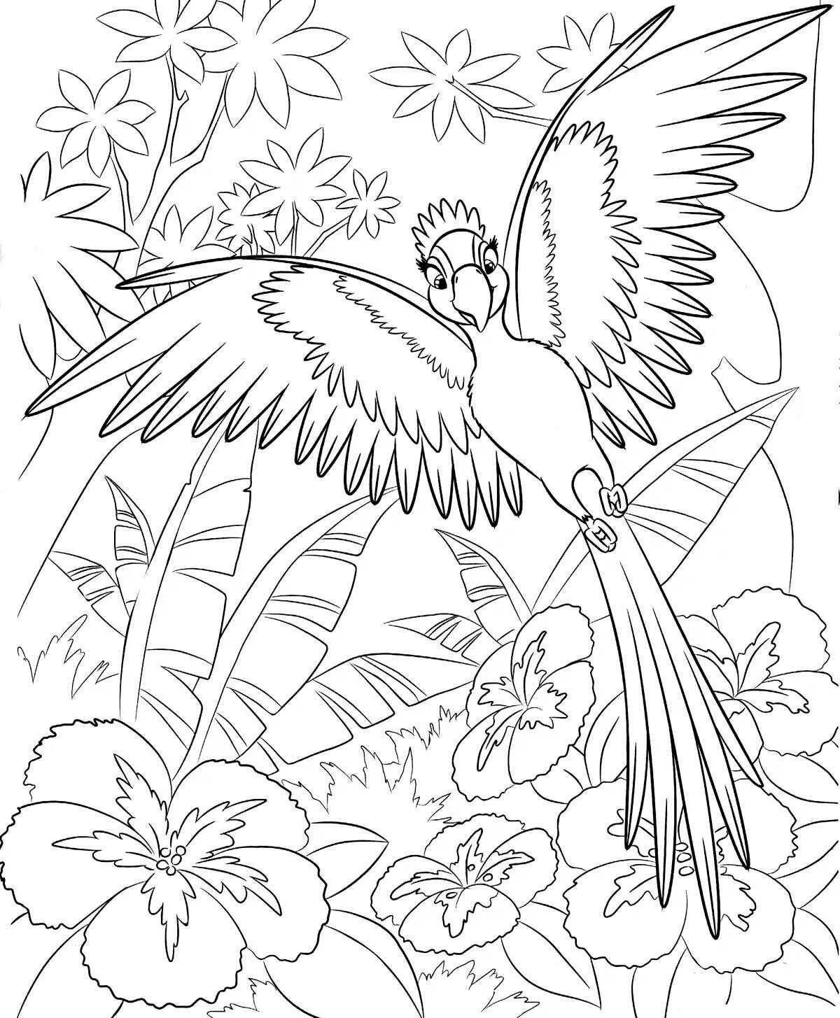 Intriguing parrot coloring book for children 6-7 years old