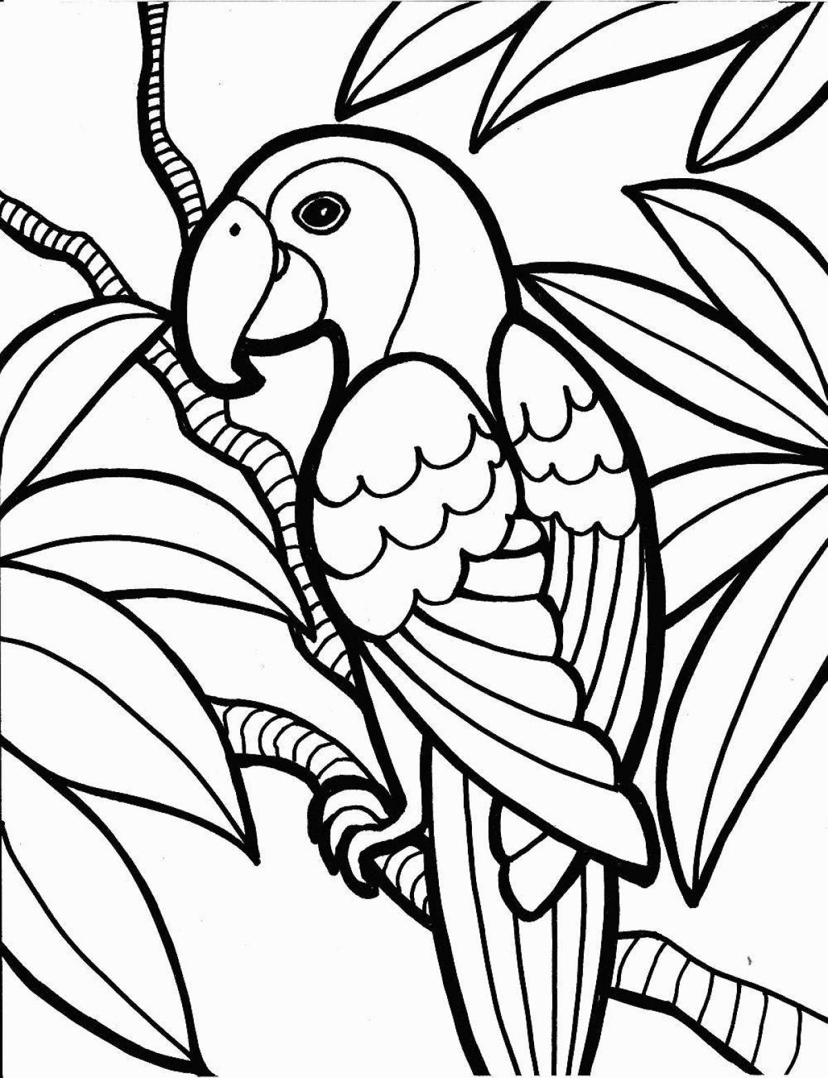 Очаровательная раскраска попугай для детей 6-7 лет